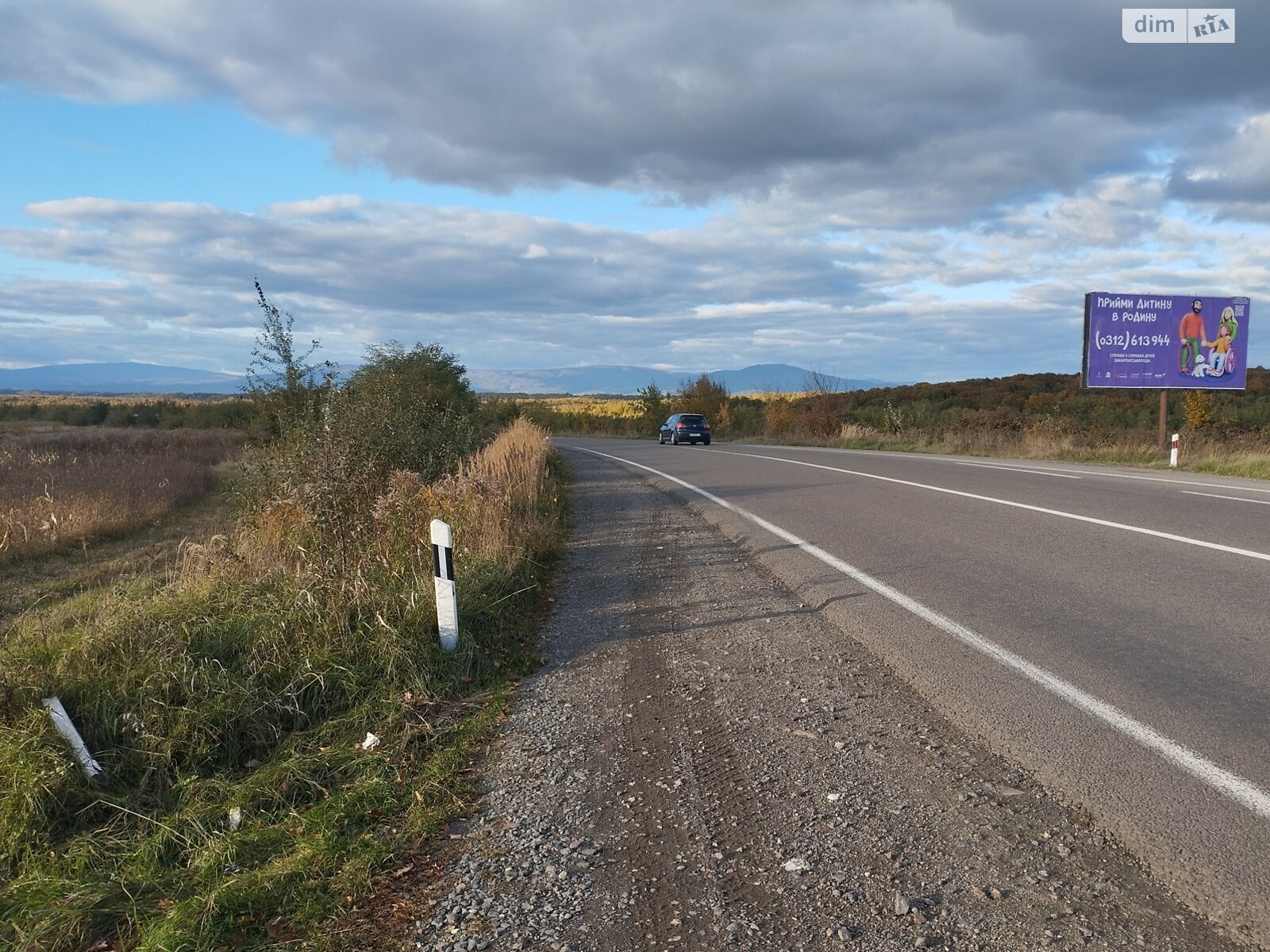 Земельна ділянка сільськогосподарського призначення в Широкому, площа 59.79 сотки фото 1