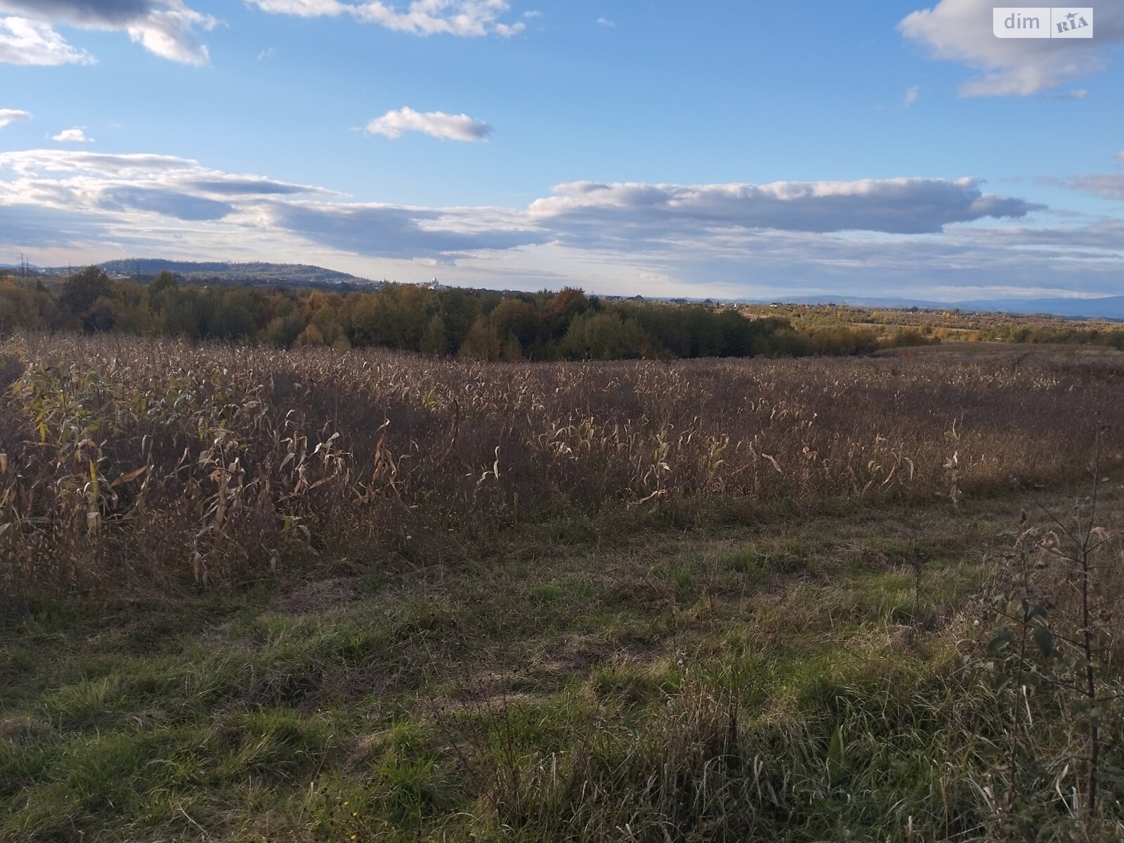 Земельна ділянка сільськогосподарського призначення в Широкому, площа 59.79 сотки фото 1