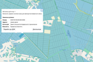 Земельна ділянка сільськогосподарського призначення в Шишаках, площа 2.98 Га фото 1