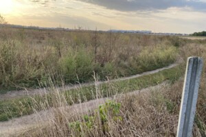 Земельный участок сельскохозяйственного назначения в Шкаровке, площадь 20 соток фото 2
