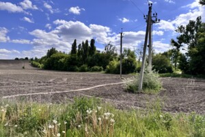 Земельный участок сельскохозяйственного назначения в Шкаровке, площадь 2 Га фото 2