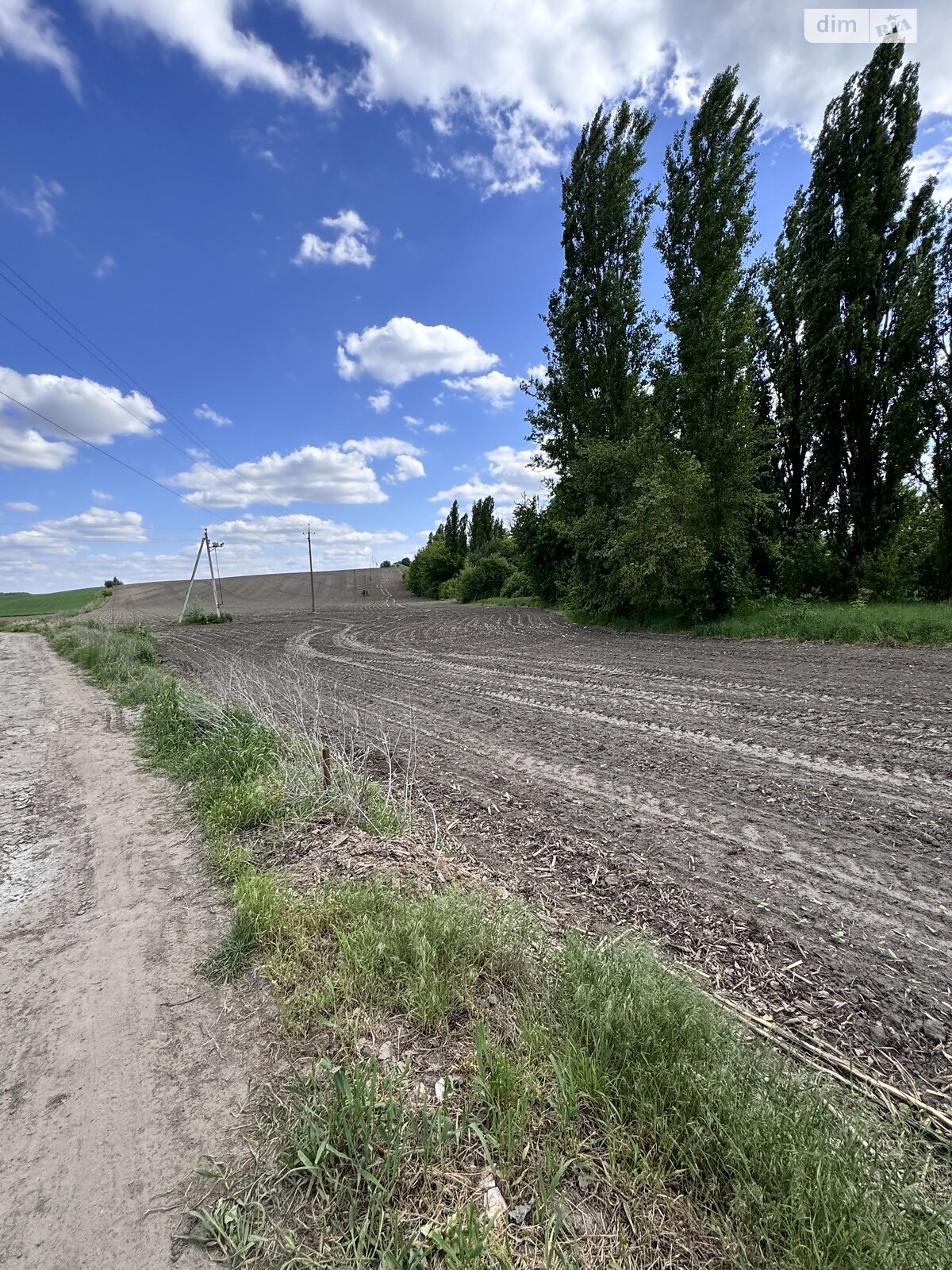 Земельна ділянка сільськогосподарського призначення в Шкарівці, площа 2 Га фото 1