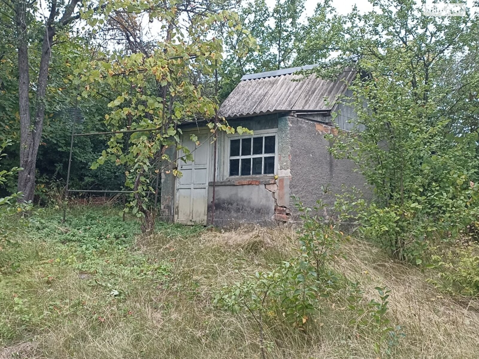 Земельный участок сельскохозяйственного назначения в Шкаровке, площадь 5.43 сотки фото 1 Земельный участок сельскохозяйственного назначения в Шкаровке, площадь 5.43 сотки фото 1