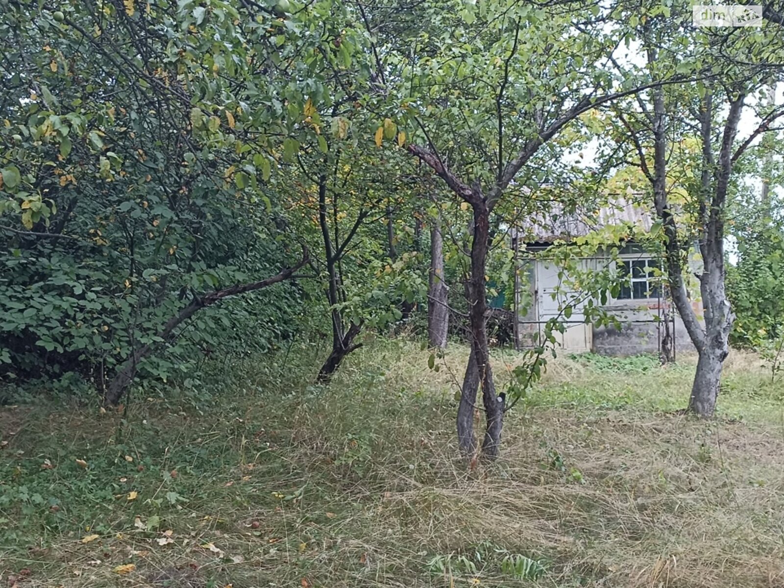 Земельный участок сельскохозяйственного назначения в Шкаровке, площадь 5.43 сотки фото 1 Земельный участок сельскохозяйственного назначения в Шкаровке, площадь 5.43 сотки фото 1