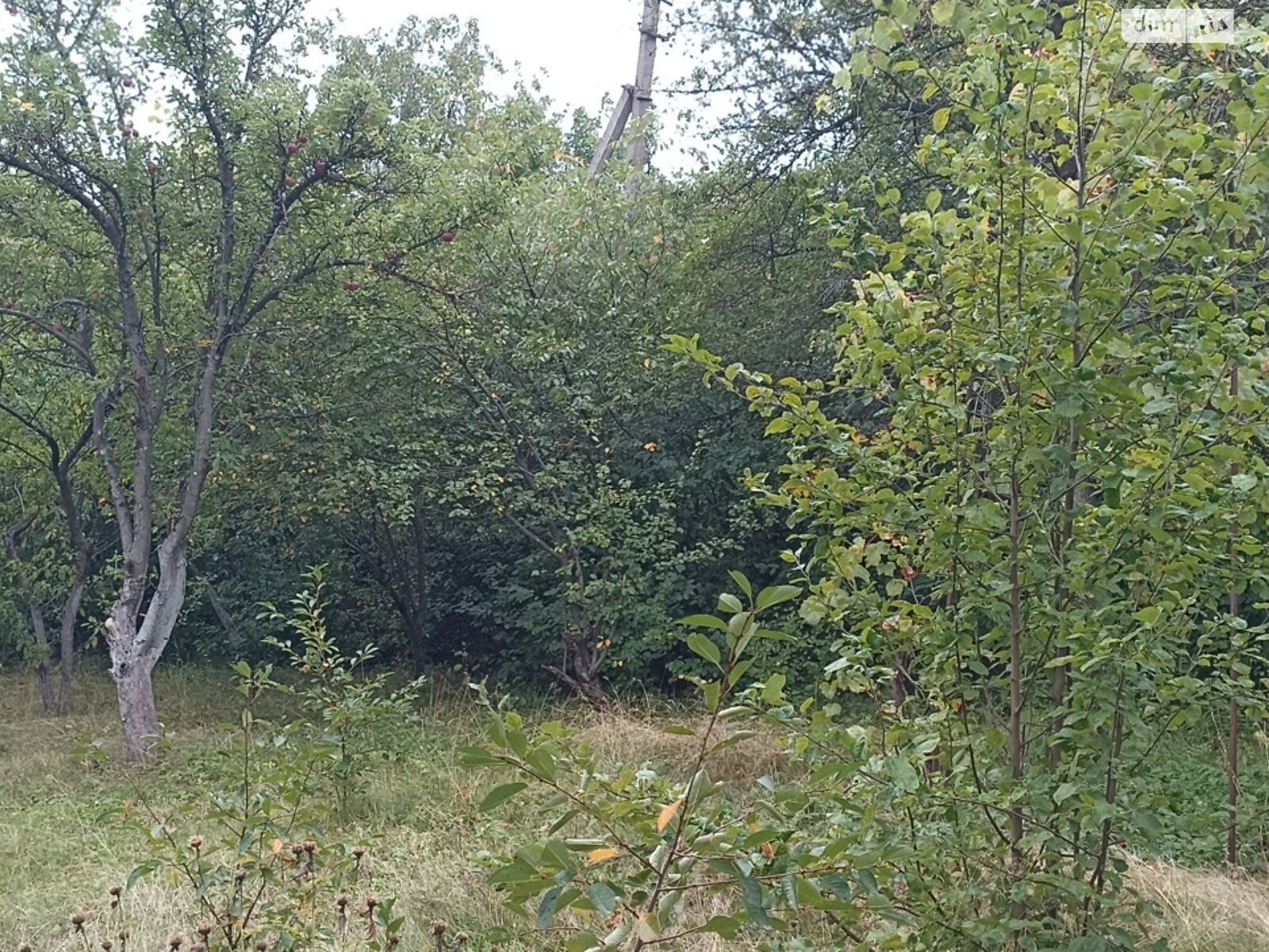 Земельный участок сельскохозяйственного назначения в Шкаровке, площадь 5.43 сотки фото 1 Земельный участок сельскохозяйственного назначения в Шкаровке, площадь 5.43 сотки фото 1