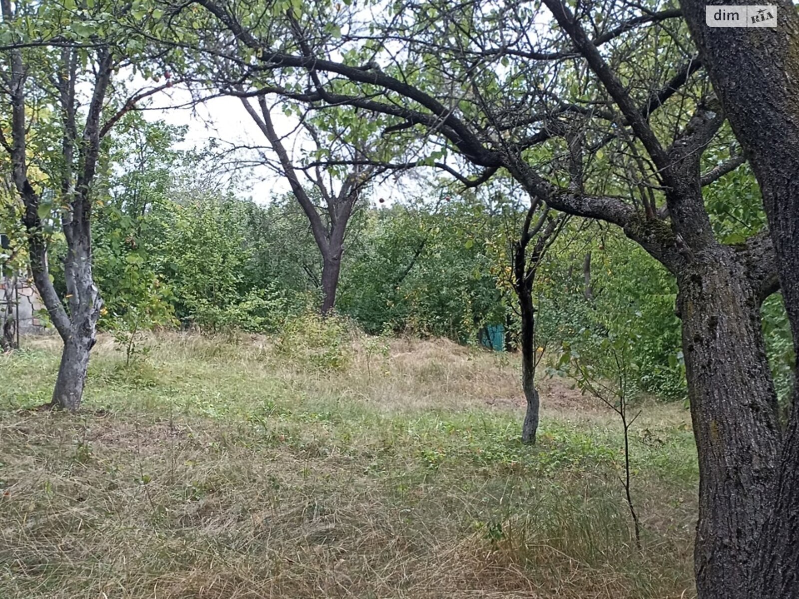 Земельный участок сельскохозяйственного назначения в Шкаровке, площадь 5.43 сотки фото 1 Земельный участок сельскохозяйственного назначения в Шкаровке, площадь 5.43 сотки фото 1