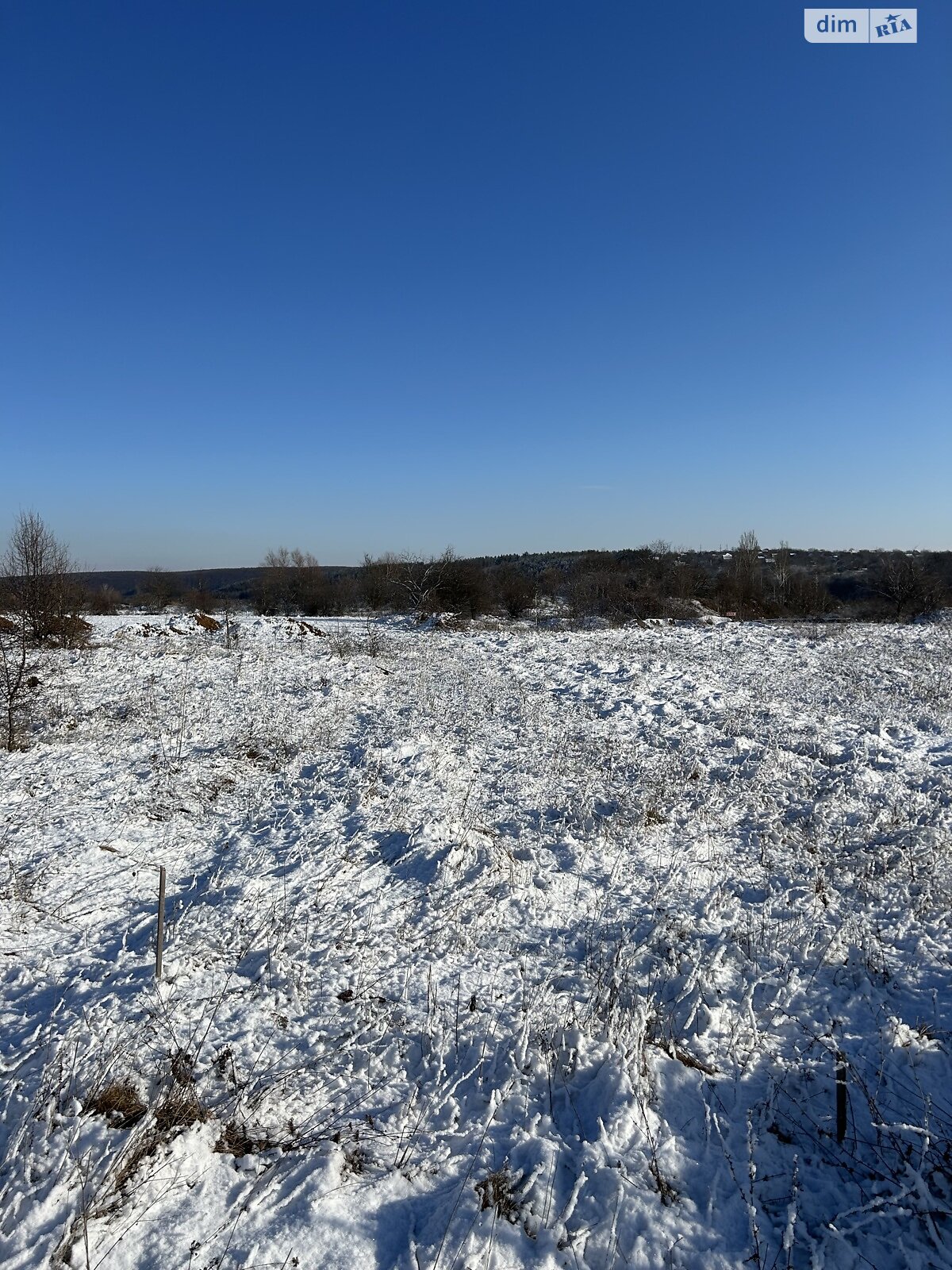 Земельна ділянка сільськогосподарського призначення в Шкуринцях, площа 8 соток фото 1