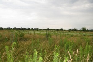 Земельный участок сельскохозяйственного назначения в Шкуринцах, площадь 16 соток фото 2