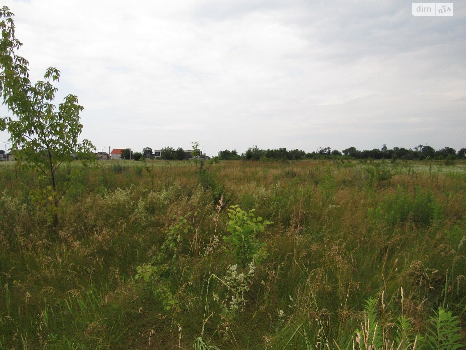Земельный участок сельскохозяйственного назначения в Шкуринцах, площадь 16 соток фото 1