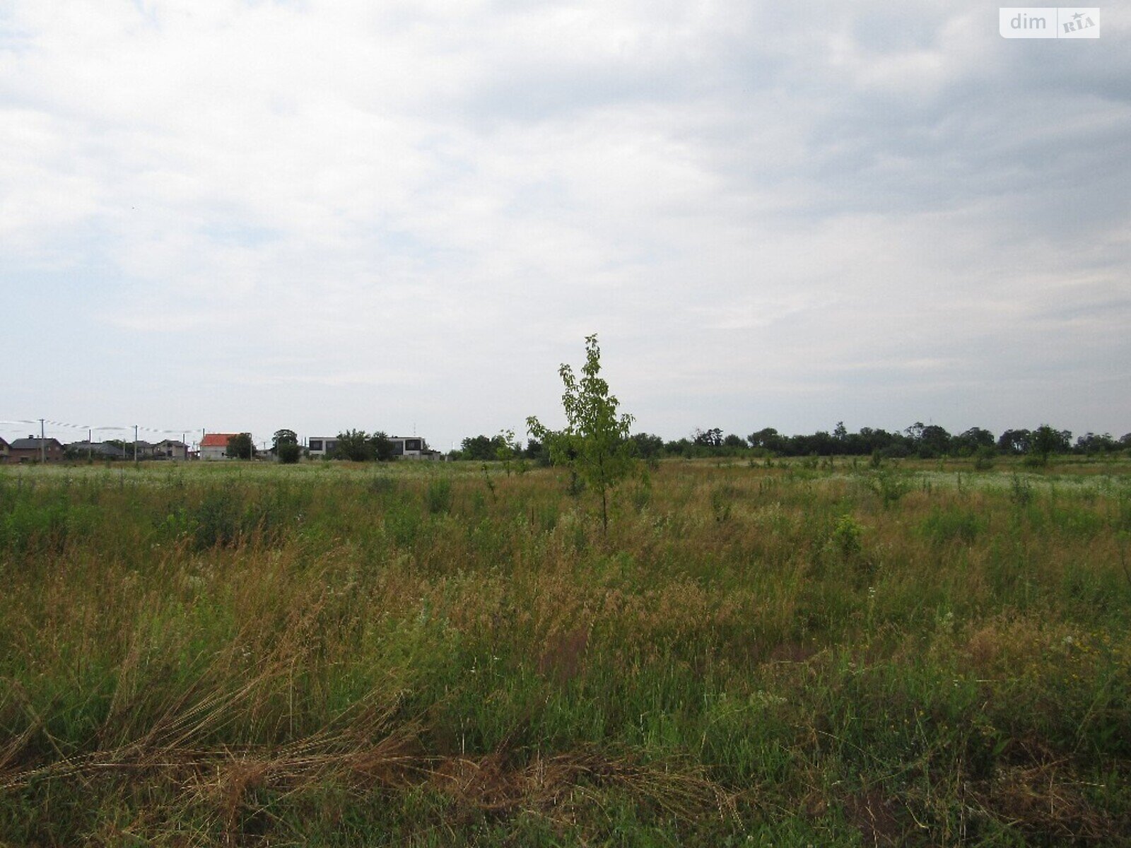 Земельный участок сельскохозяйственного назначения в Шкуринцах, площадь 16 соток фото 1