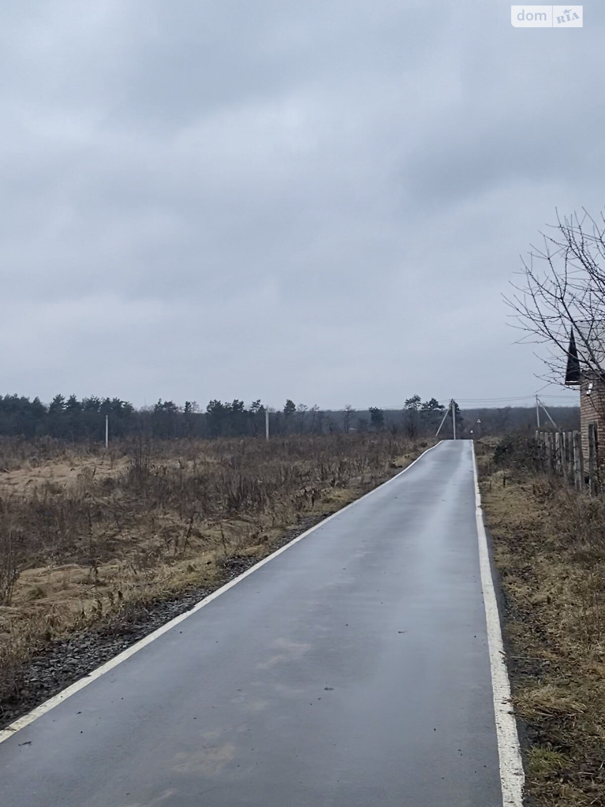 Земельный участок сельскохозяйственного назначения в Шкуринцах, площадь 16 соток фото 1