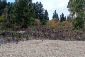 Земельна ділянка сільськогосподарського призначення в Східниці, площа 10 соток фото 2