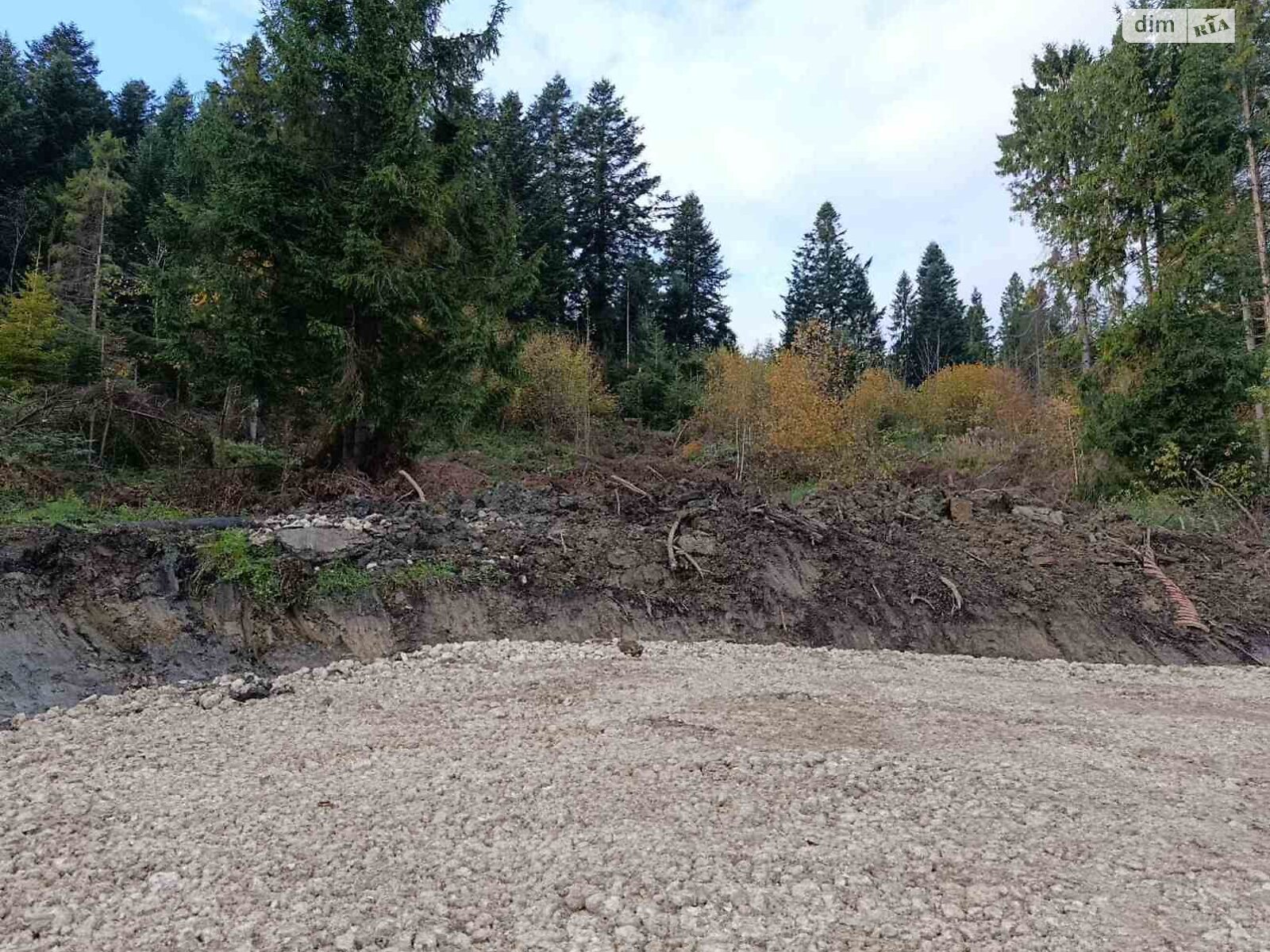 Земельна ділянка сільськогосподарського призначення в Східниці, площа 10 соток фото 1