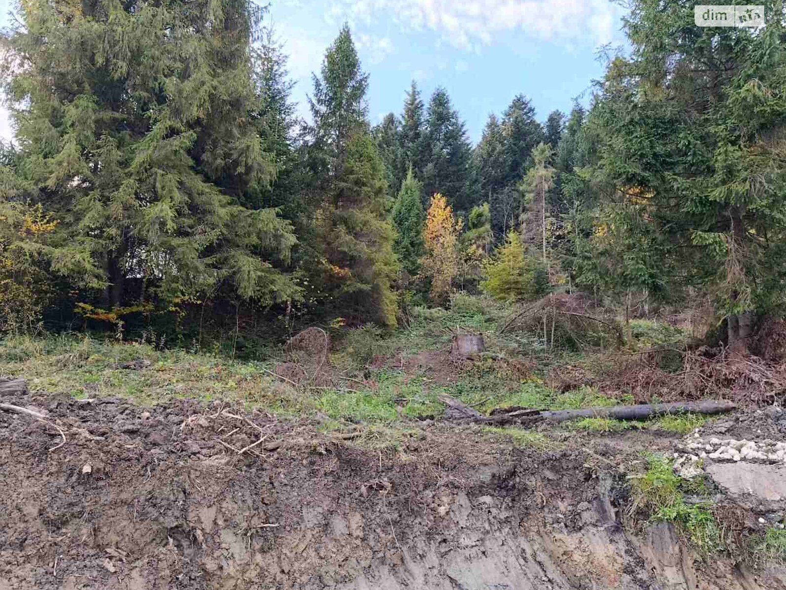 Земельна ділянка сільськогосподарського призначення в Східниці, площа 10 соток фото 1
