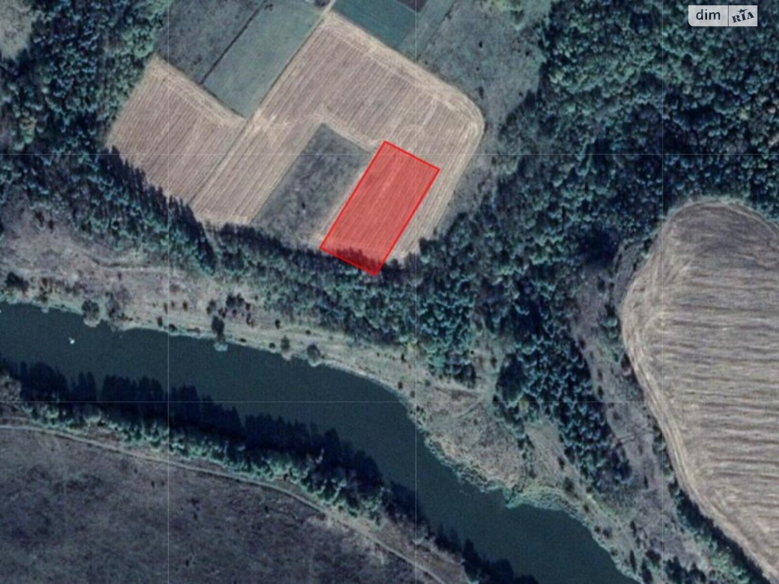 Земельна ділянка сільськогосподарського призначення в Шолудьках, площа 50 соток фото 1