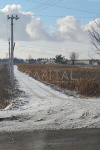 Земельна ділянка сільськогосподарського призначення в Шпитьках, площа 73 сотки фото 2