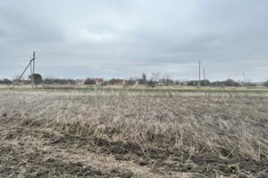Земельный участок сельскохозяйственного назначения в Шубкове, площадь 20 соток фото 2