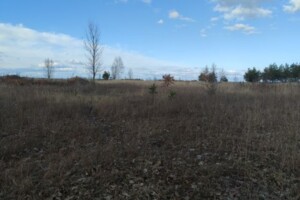 Земельный участок сельскохозяйственного назначения в Синяке, площадь 10 соток фото 2 Земельный участок сельскохозяйственного назначения в Синяке, площадь 10 соток фото 2