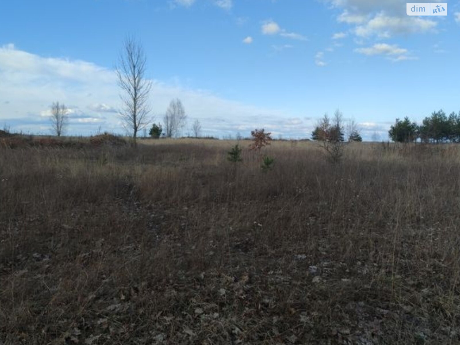 Земельный участок сельскохозяйственного назначения в Синяке, площадь 10 соток фото 1 Земельный участок сельскохозяйственного назначения в Синяке, площадь 10 соток фото 1