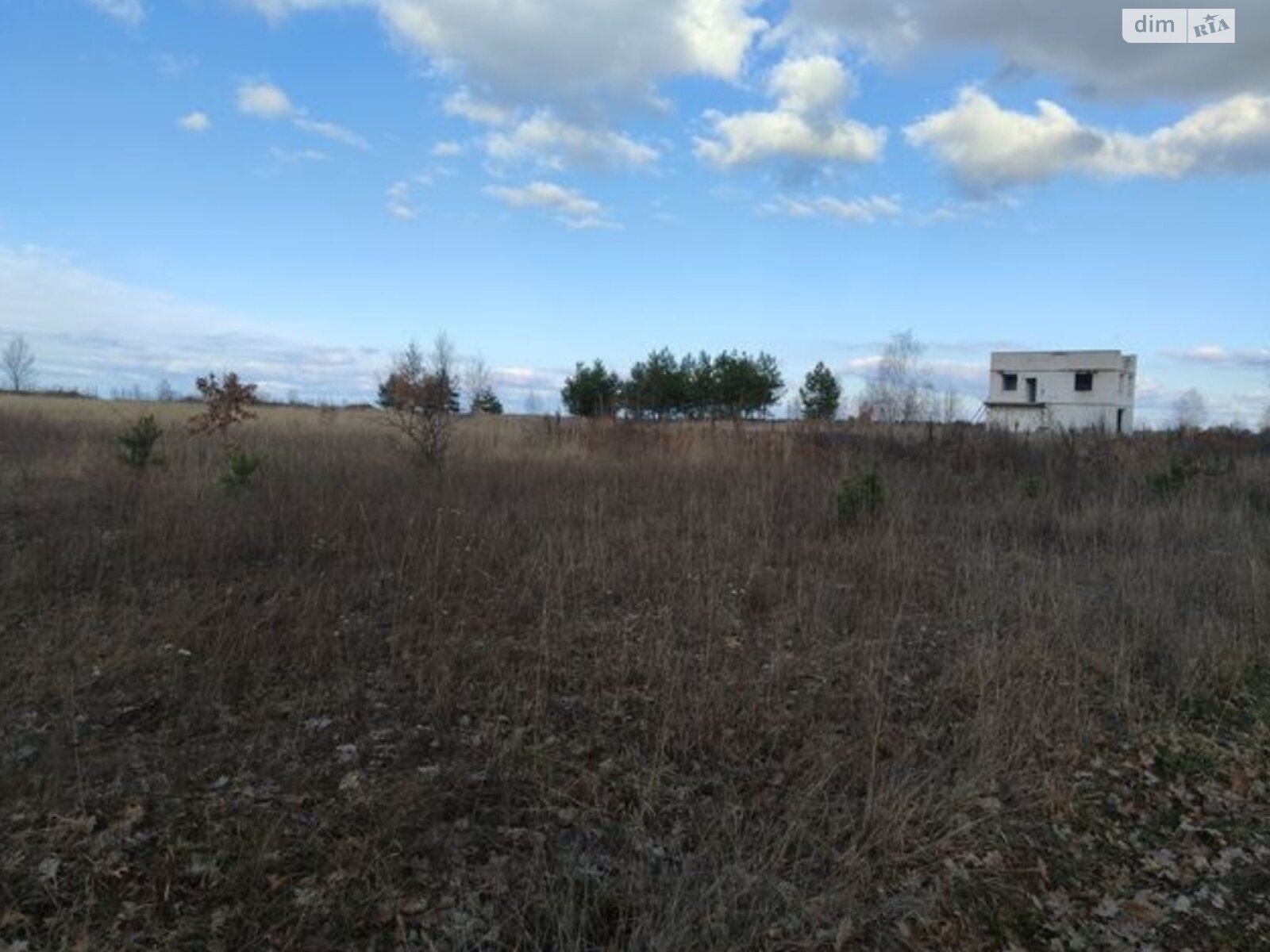 Земельный участок сельскохозяйственного назначения в Синяке, площадь 10 соток фото 1 Земельный участок сельскохозяйственного назначения в Синяке, площадь 10 соток фото 1