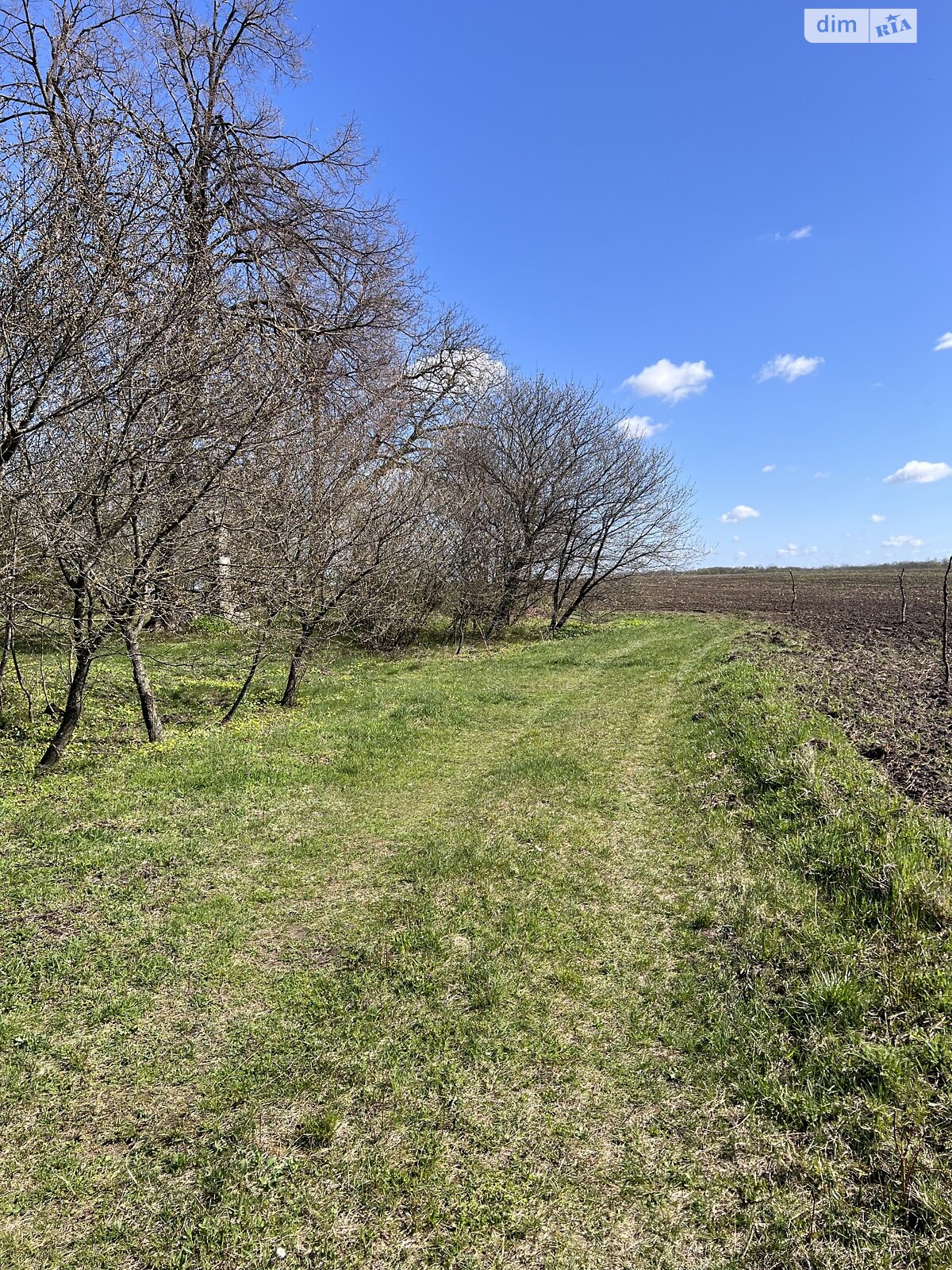 Земельна ділянка сільськогосподарського призначення в Синяві, площа 2 Га фото 1