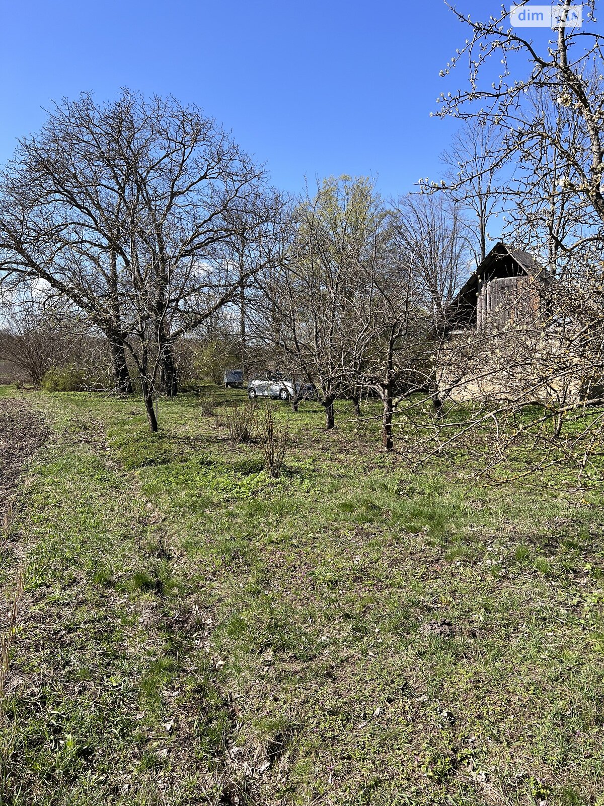 Земельна ділянка сільськогосподарського призначення в Синяві, площа 2 Га фото 1