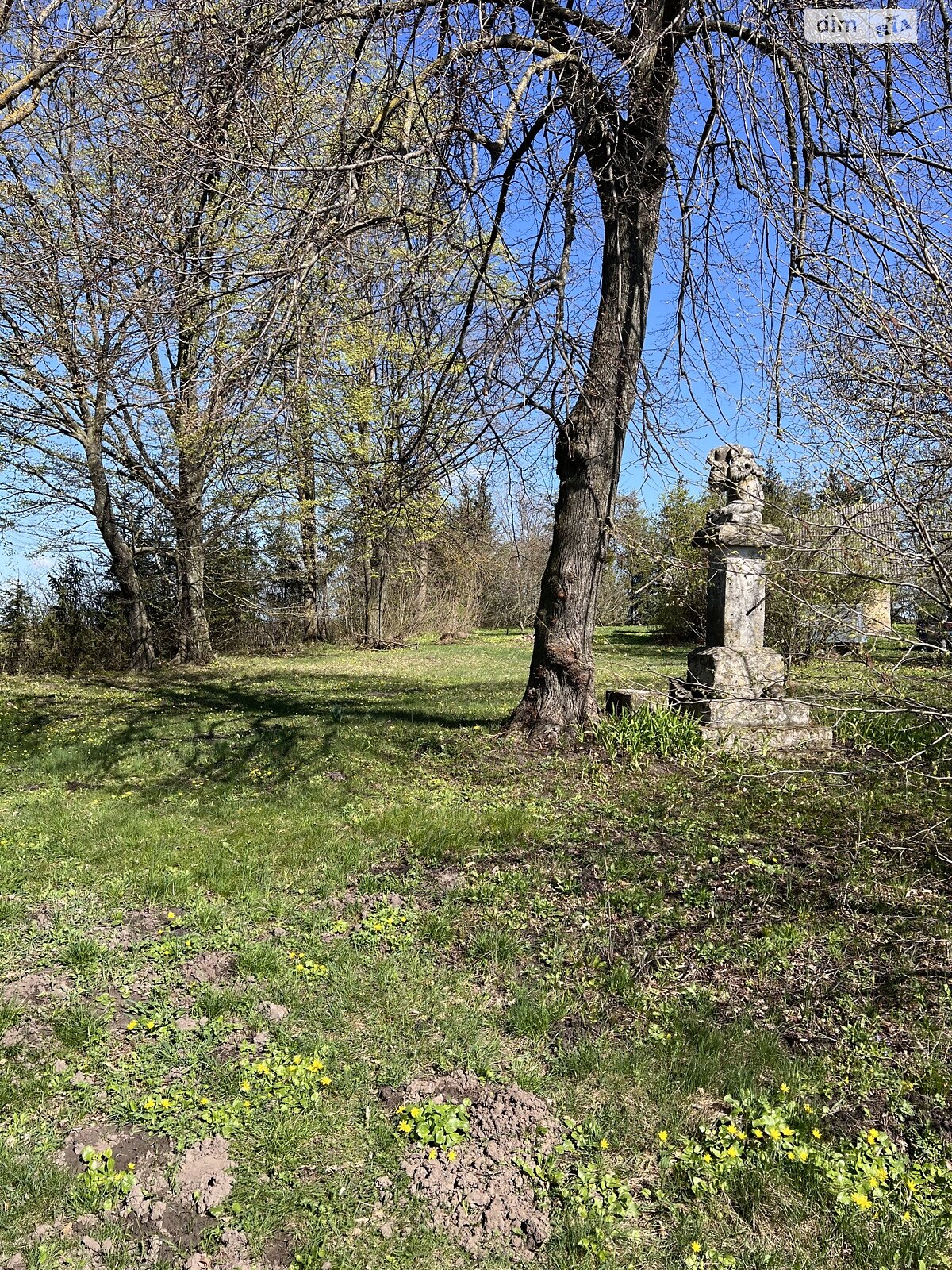 Земельна ділянка сільськогосподарського призначення в Синяві, площа 2 Га фото 1