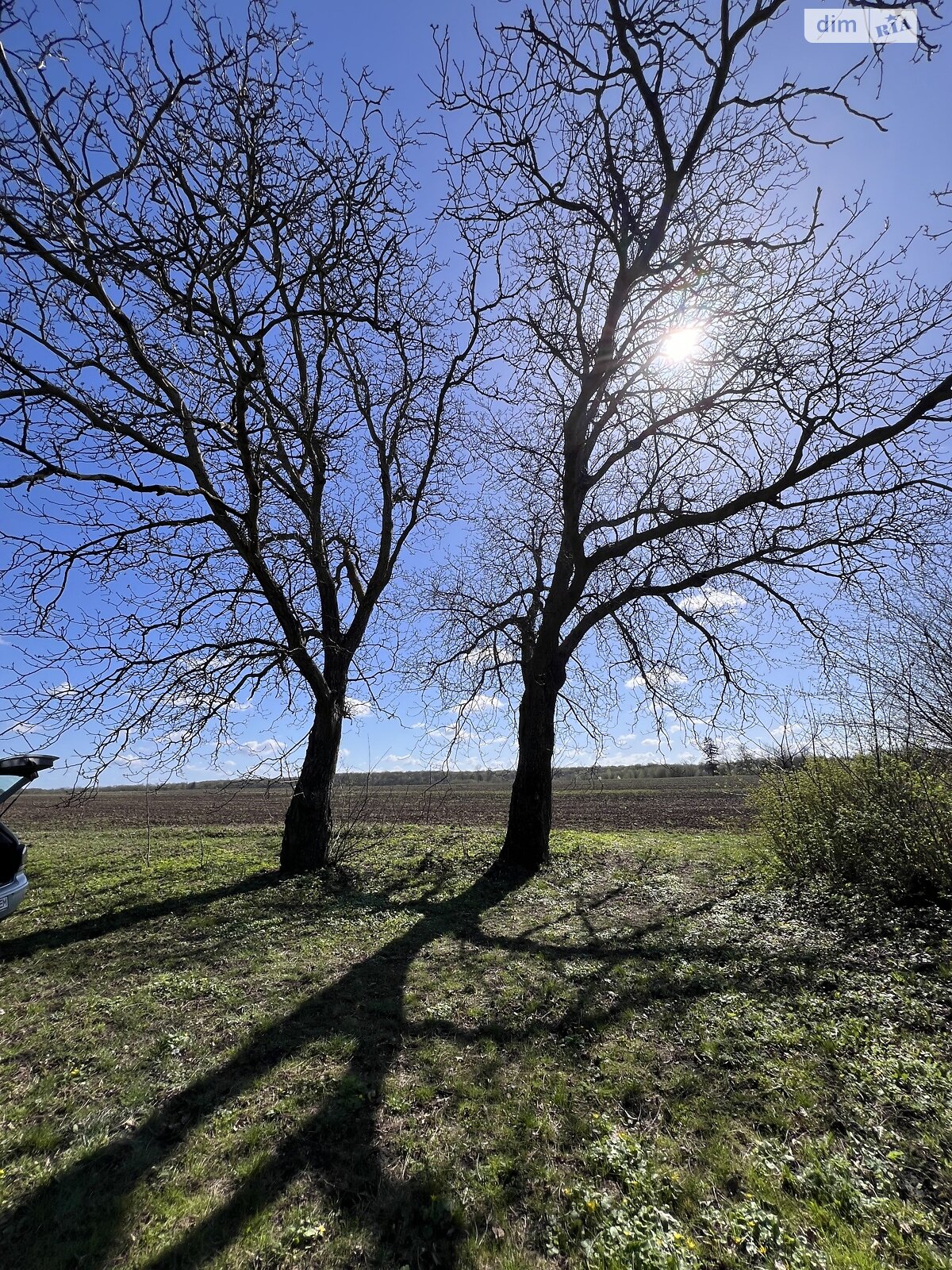 Земельна ділянка сільськогосподарського призначення в Синяві, площа 2 Га фото 1