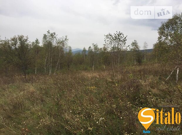 Земля сельскохозяйственного назначения, площадь 75 соток фото 1 Земля сельскохозяйственного назначения, площадь 75 соток фото 1