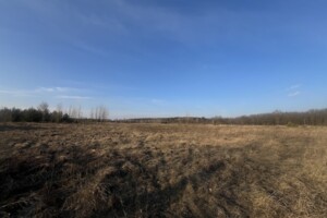 Земельна ділянка сільськогосподарського призначення в Славному, площа 2 Га фото 2