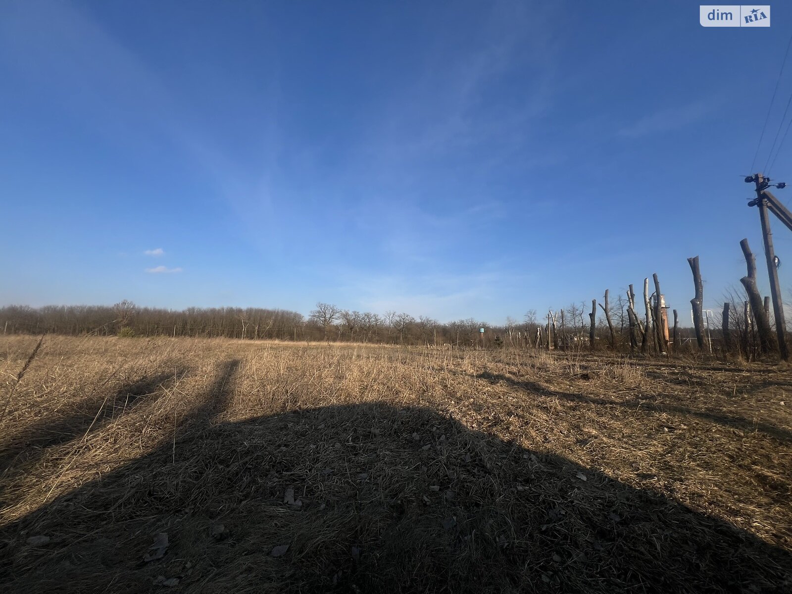 Земельна ділянка сільськогосподарського призначення в Славному, площа 2 Га фото 1