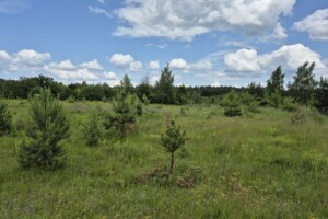 Земельна ділянка сільськогосподарського призначення в Славному, площа 17.2 сотки фото 2