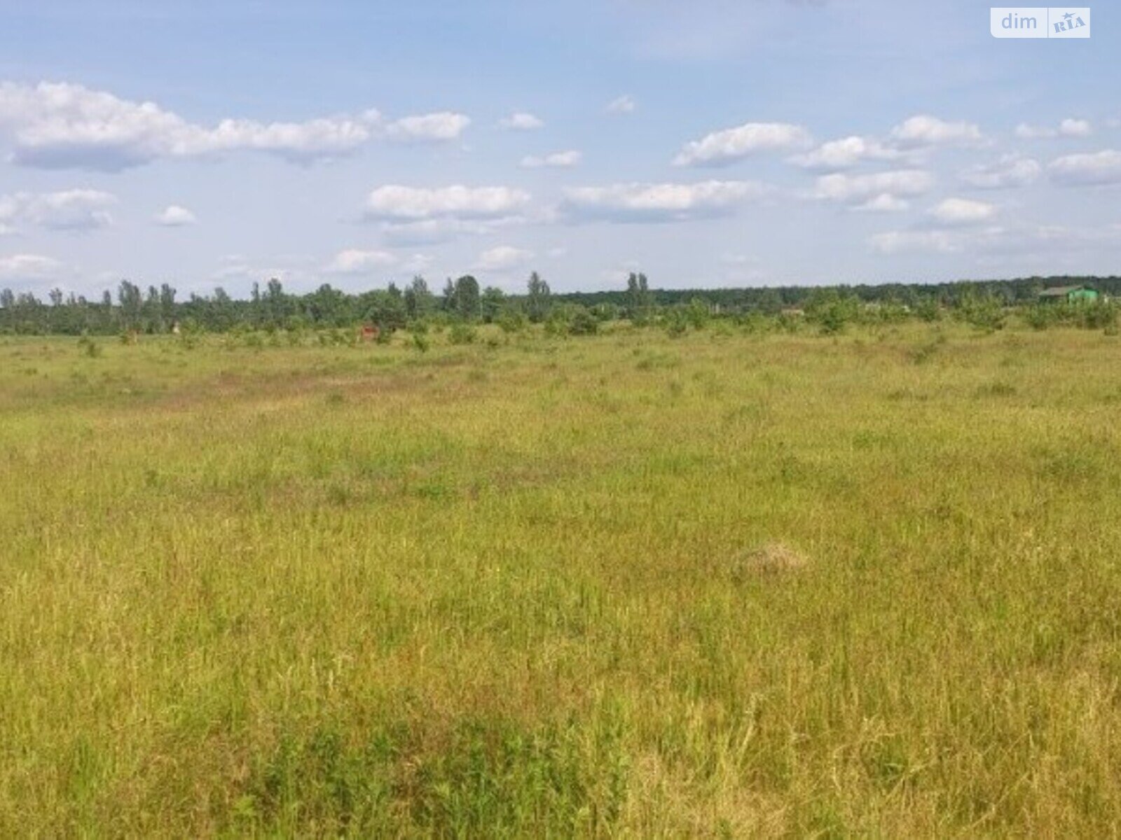 Земельна ділянка сільськогосподарського призначення в Славному, площа 9 соток фото 1