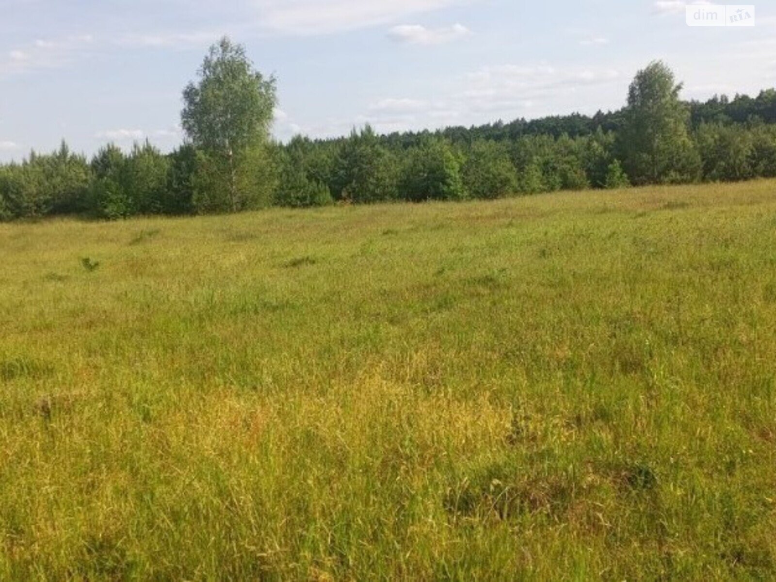 Земельна ділянка сільськогосподарського призначення в Славному, площа 9 соток фото 1