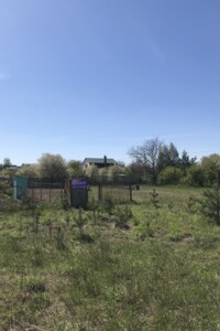 Земельна ділянка сільськогосподарського призначення в Славному, площа 10 соток фото 2