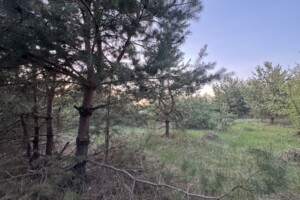 Земельный участок сельскохозяйственного назначения в Славном, площадь 8 соток фото 2