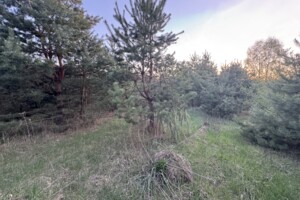 Земельна ділянка сільськогосподарського призначення в Славному, площа 8 соток фото 2