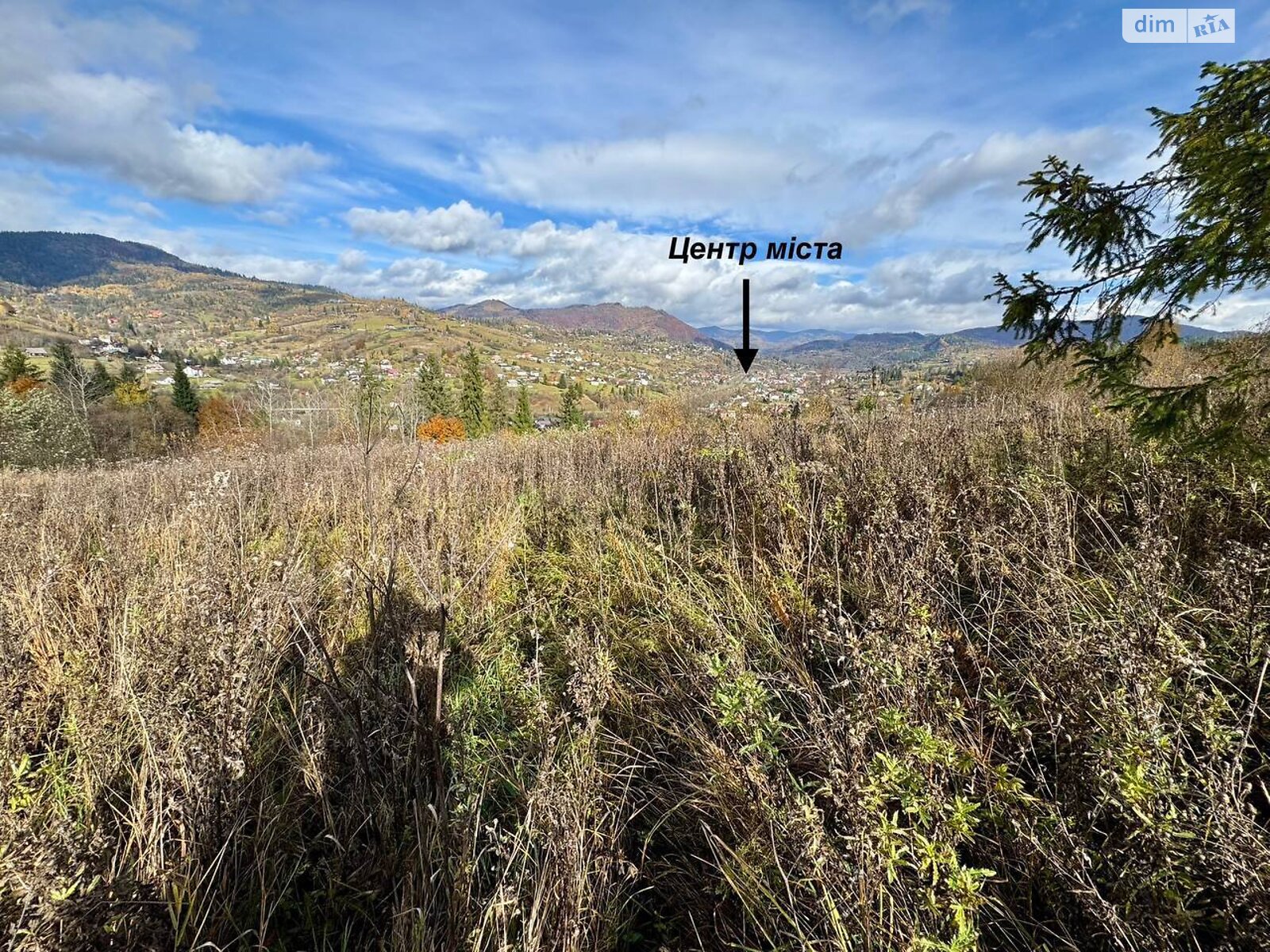 Земельна ділянка сільськогосподарського призначення в Славському, площа 16.5 сотки фото 1 Земельна ділянка сільськогосподарського призначення в Славському, площа 16.5 сотки фото 1