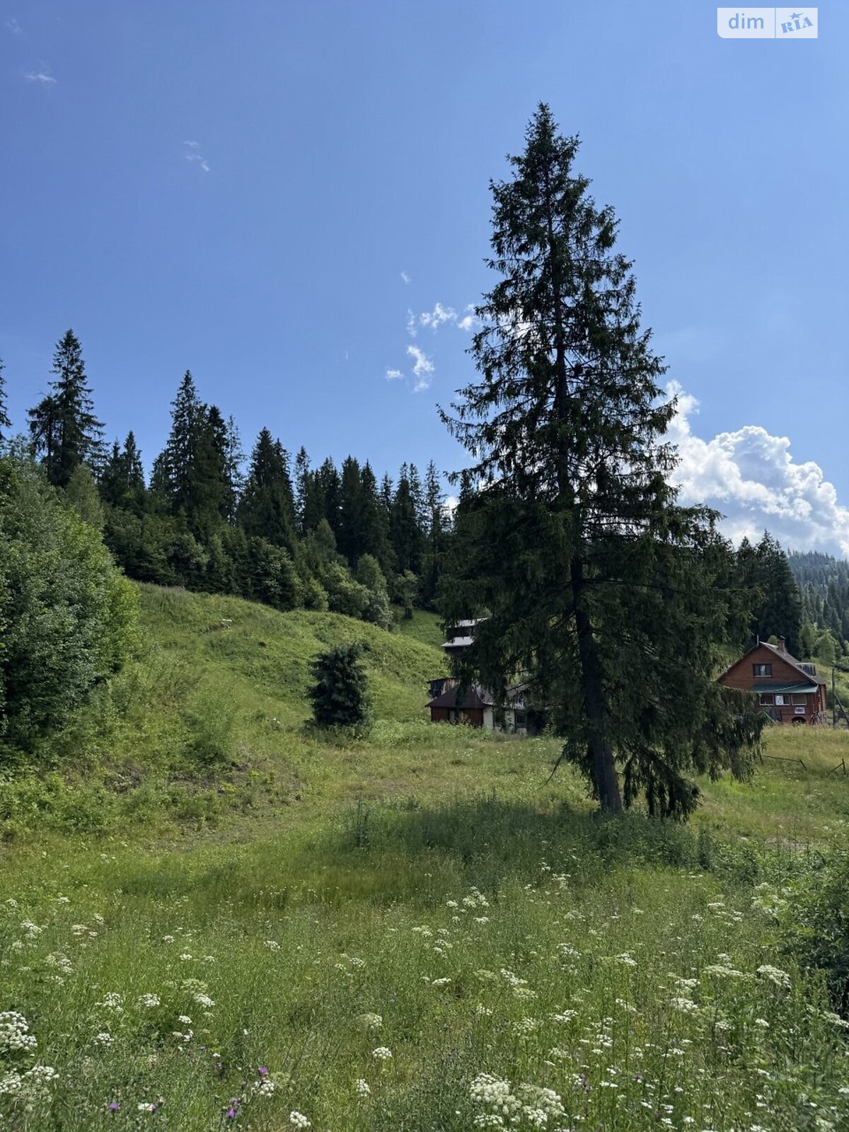 Земельна ділянка сільськогосподарського призначення в Славському, площа 0.144 Га фото 1