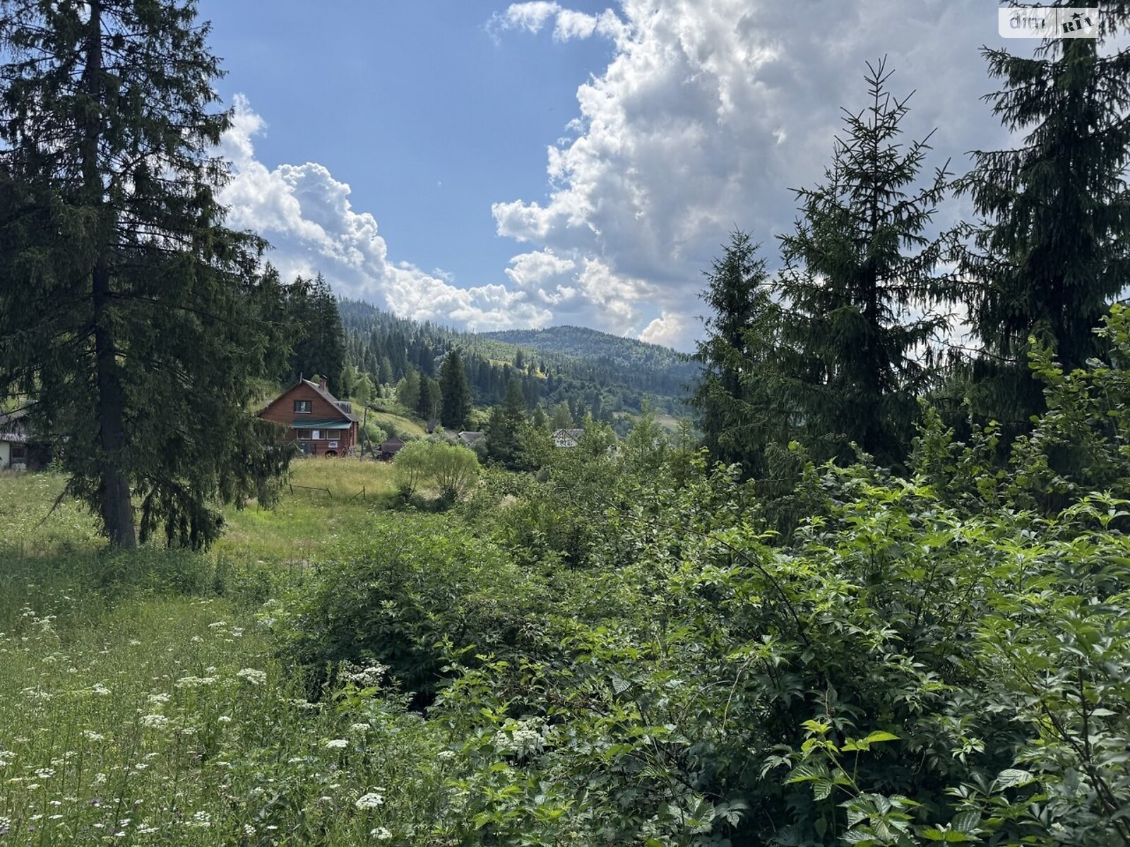 Земельна ділянка сільськогосподарського призначення в Славському, площа 0.144 Га фото 1