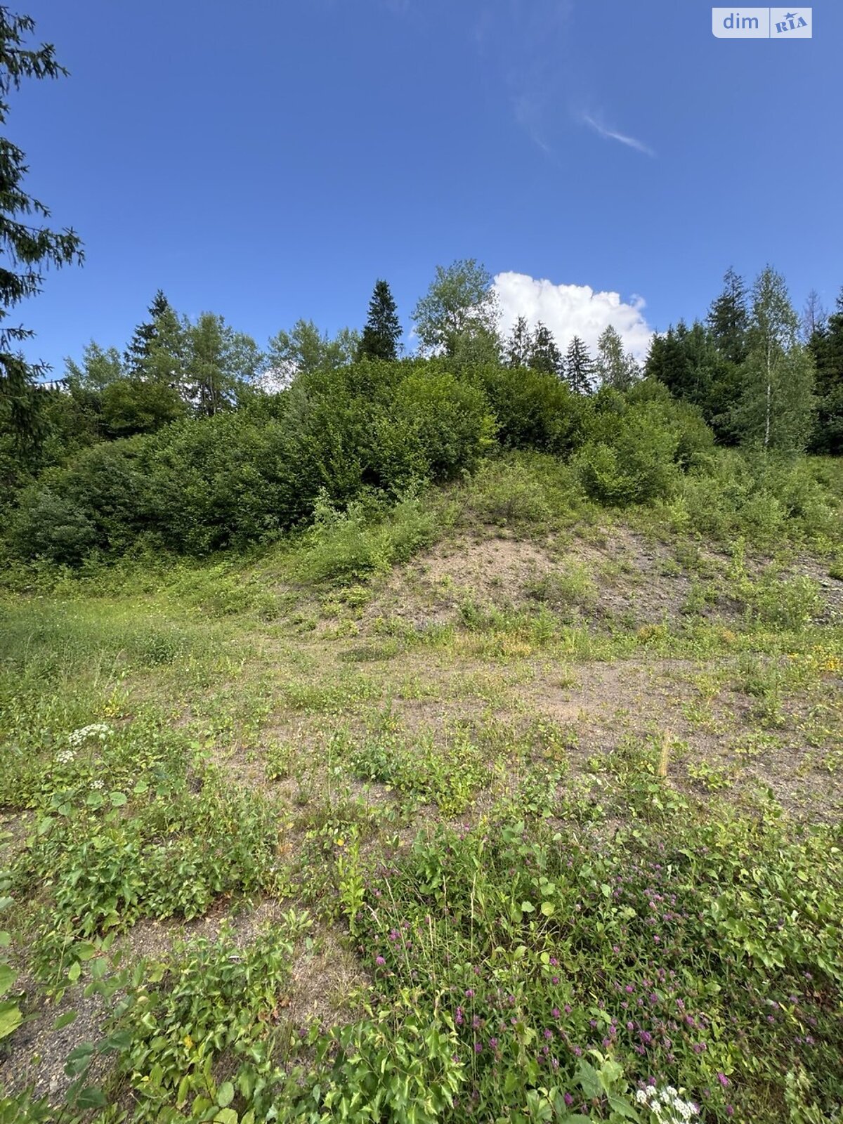 Земельна ділянка сільськогосподарського призначення в Славському, площа 0.144 Га фото 1