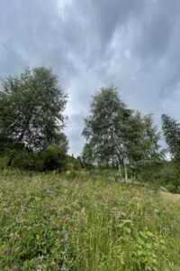 Земельна ділянка сільськогосподарського призначення в Славському, площа 140 соток фото 2