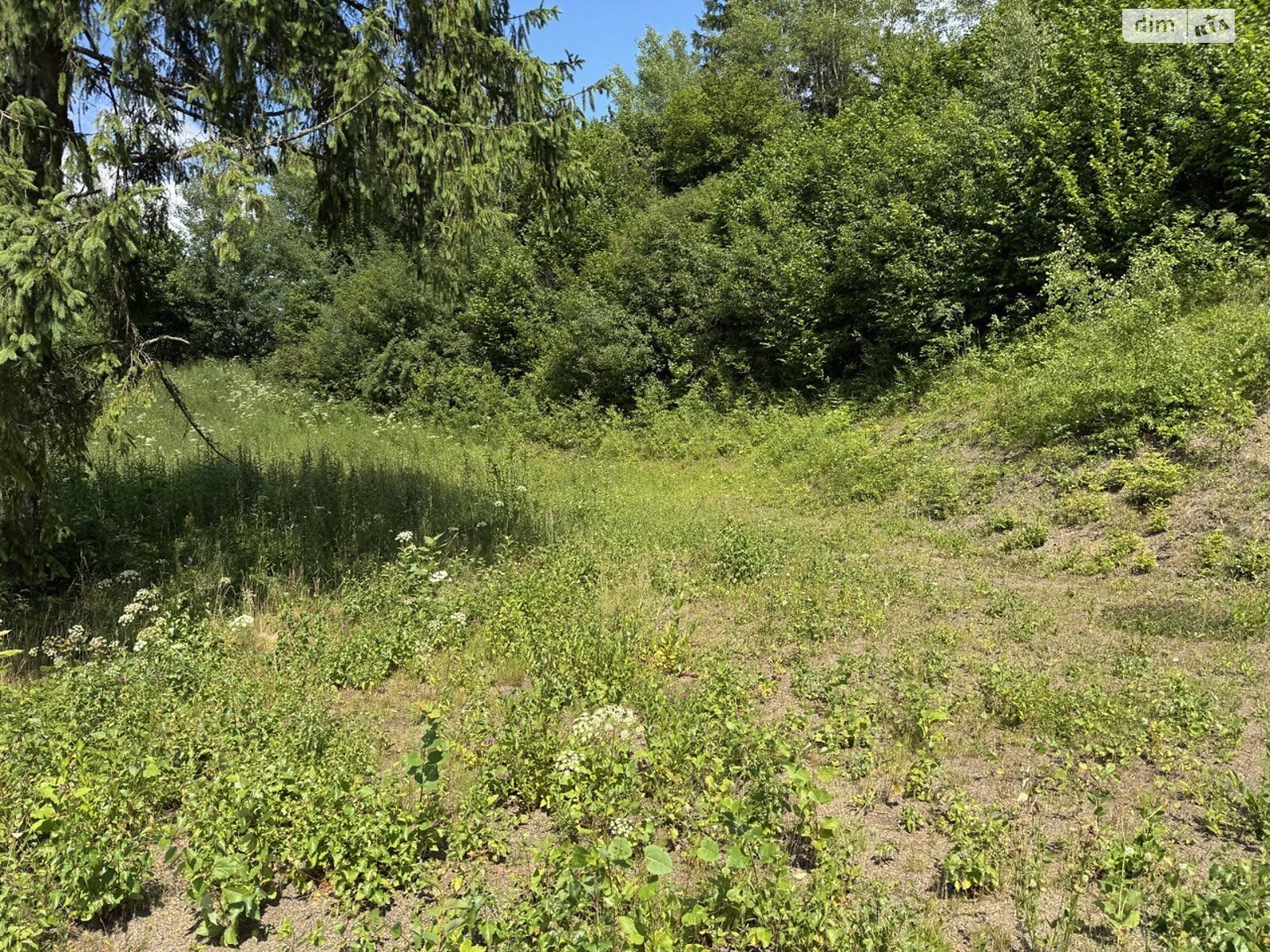 Земельна ділянка сільськогосподарського призначення в Славському, площа 14.4 сотки фото 1