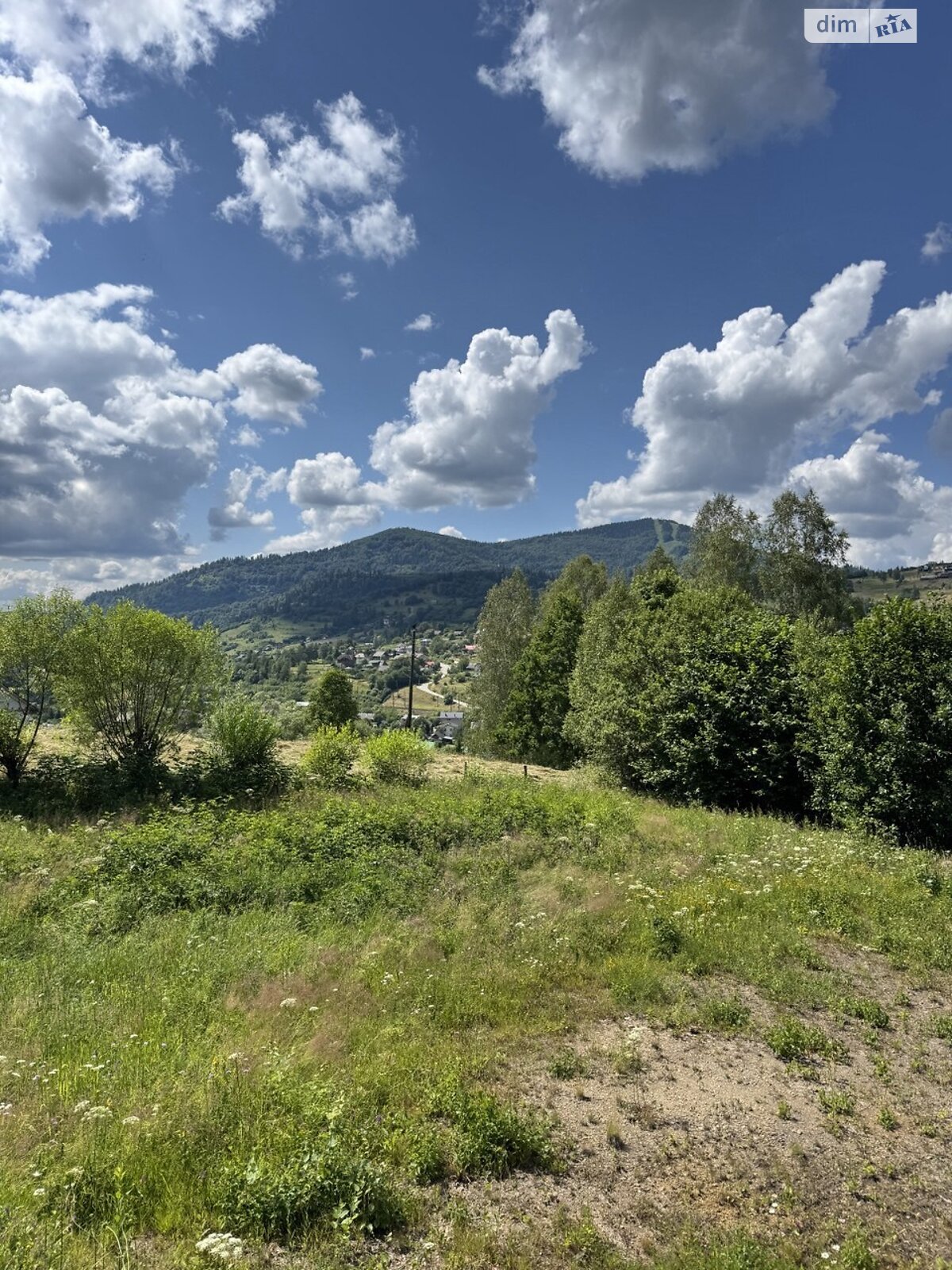 Земельна ділянка сільськогосподарського призначення в Славському, площа 14.4 сотки фото 1