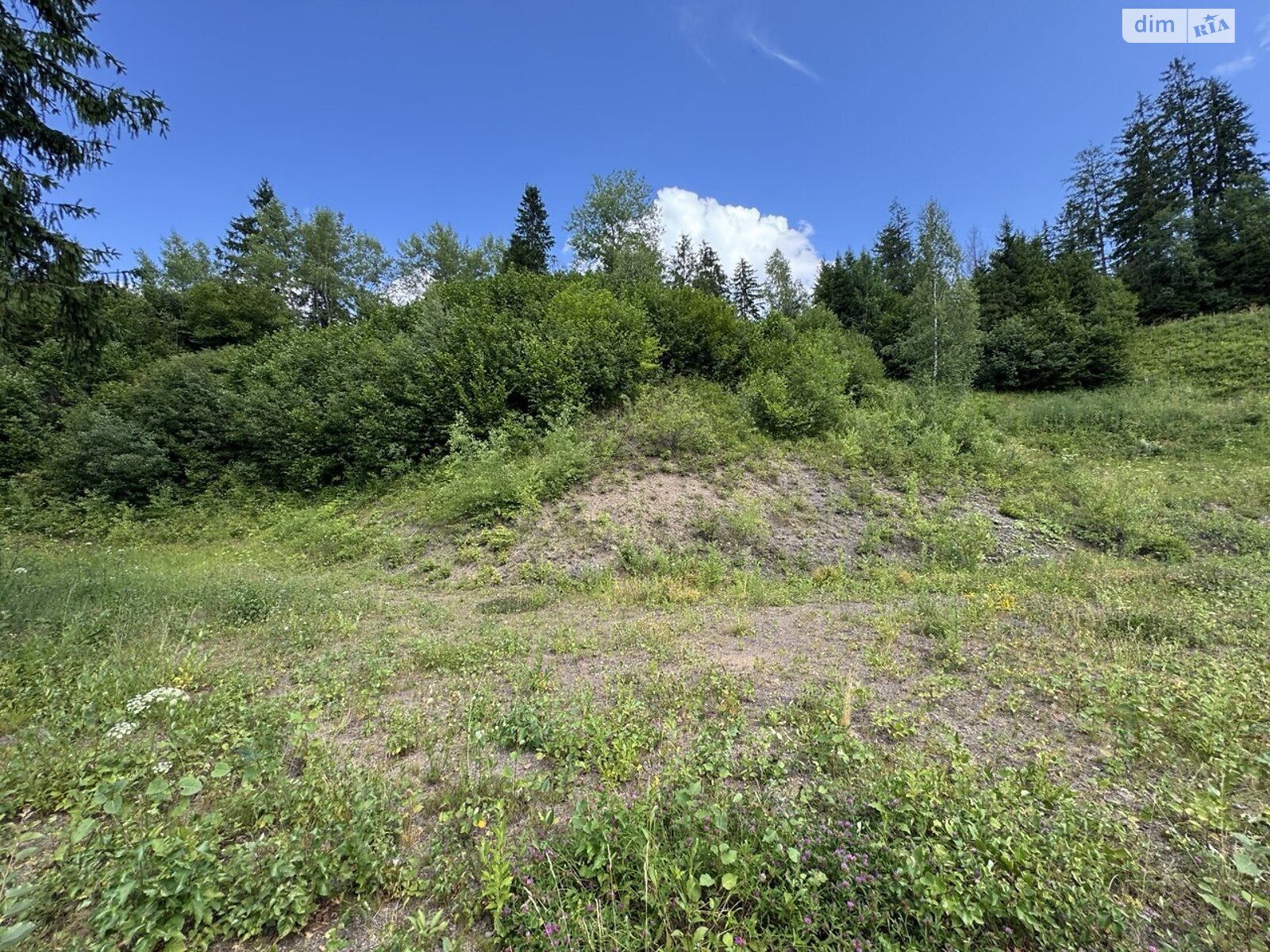 Земельна ділянка сільськогосподарського призначення в Славському, площа 14.4 сотки фото 1