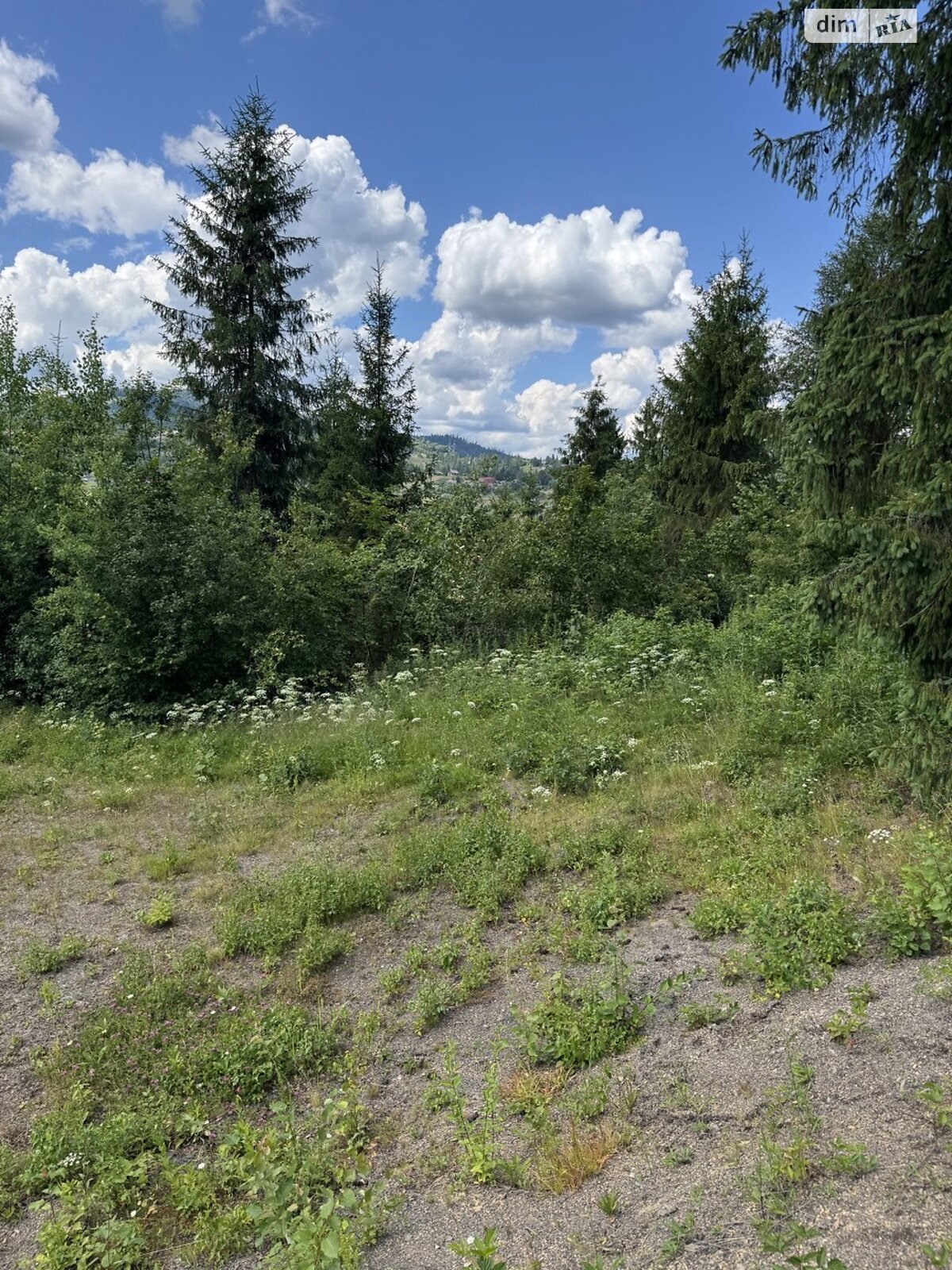 Земельна ділянка сільськогосподарського призначення в Славському, площа 14.4 сотки фото 1