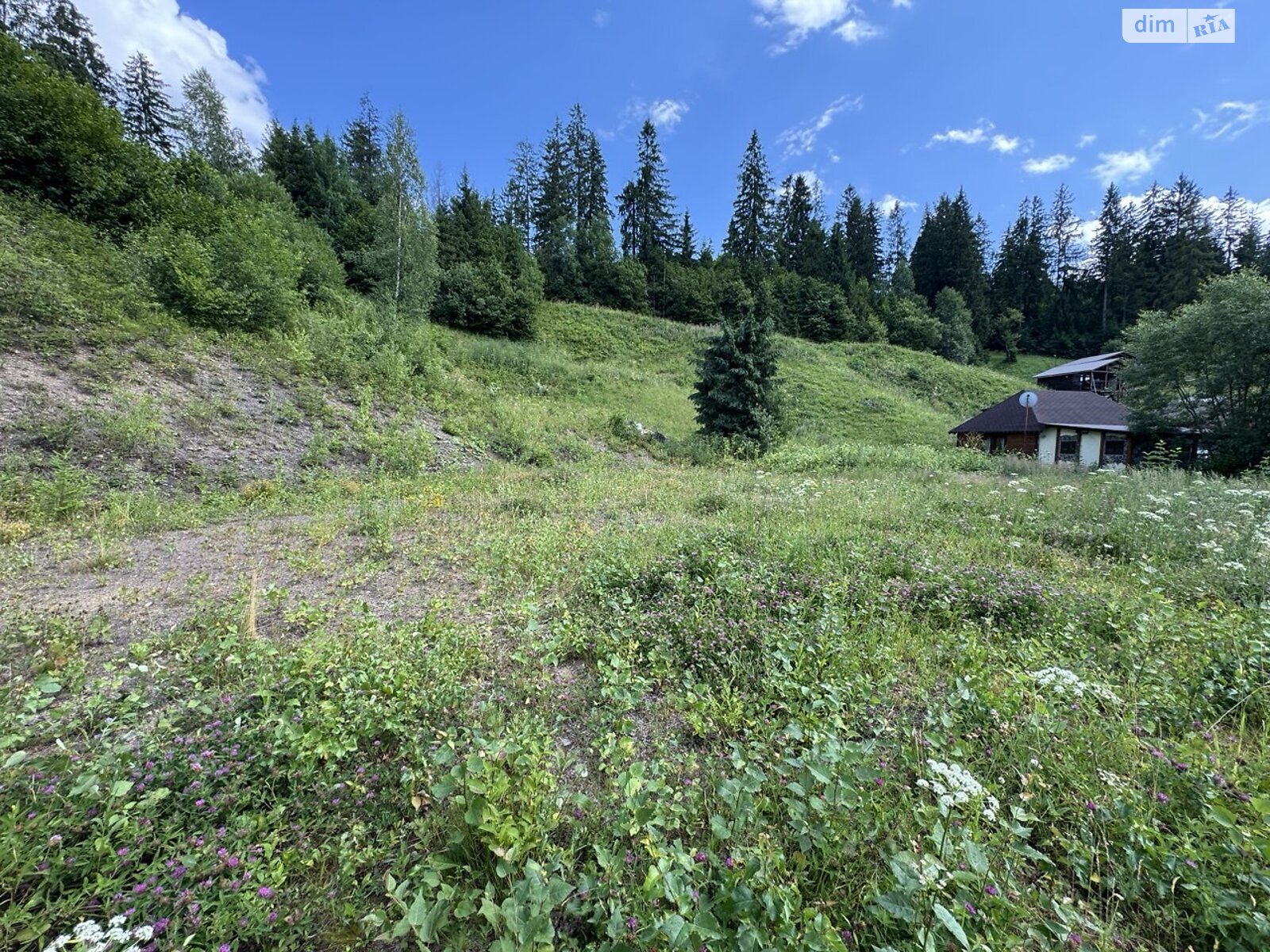 Земельна ділянка сільськогосподарського призначення в Славському, площа 14.4 сотки фото 1