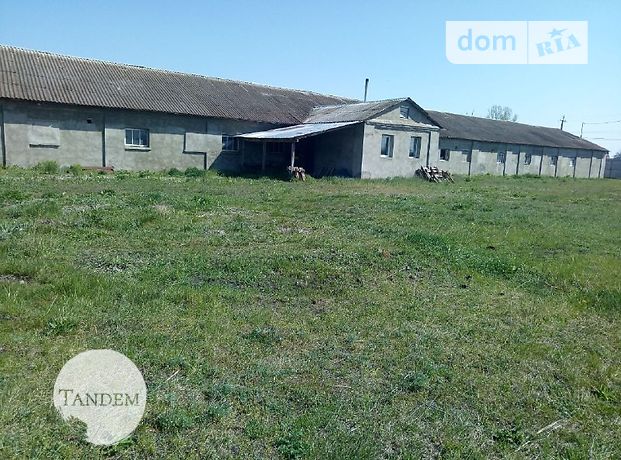 Земля сельскохозяйственного назначения в селе Крупец, площадь 85 соток фото 1 Земля сельскохозяйственного назначения в селе Крупец, площадь 85 соток фото 1
