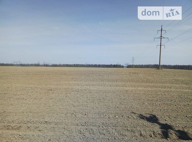 Земля сельскохозяйственного назначения в селе Полянь, площадь 12 Га фото 1 Земля сельскохозяйственного назначения в селе Полянь, площадь 12 Га фото 1