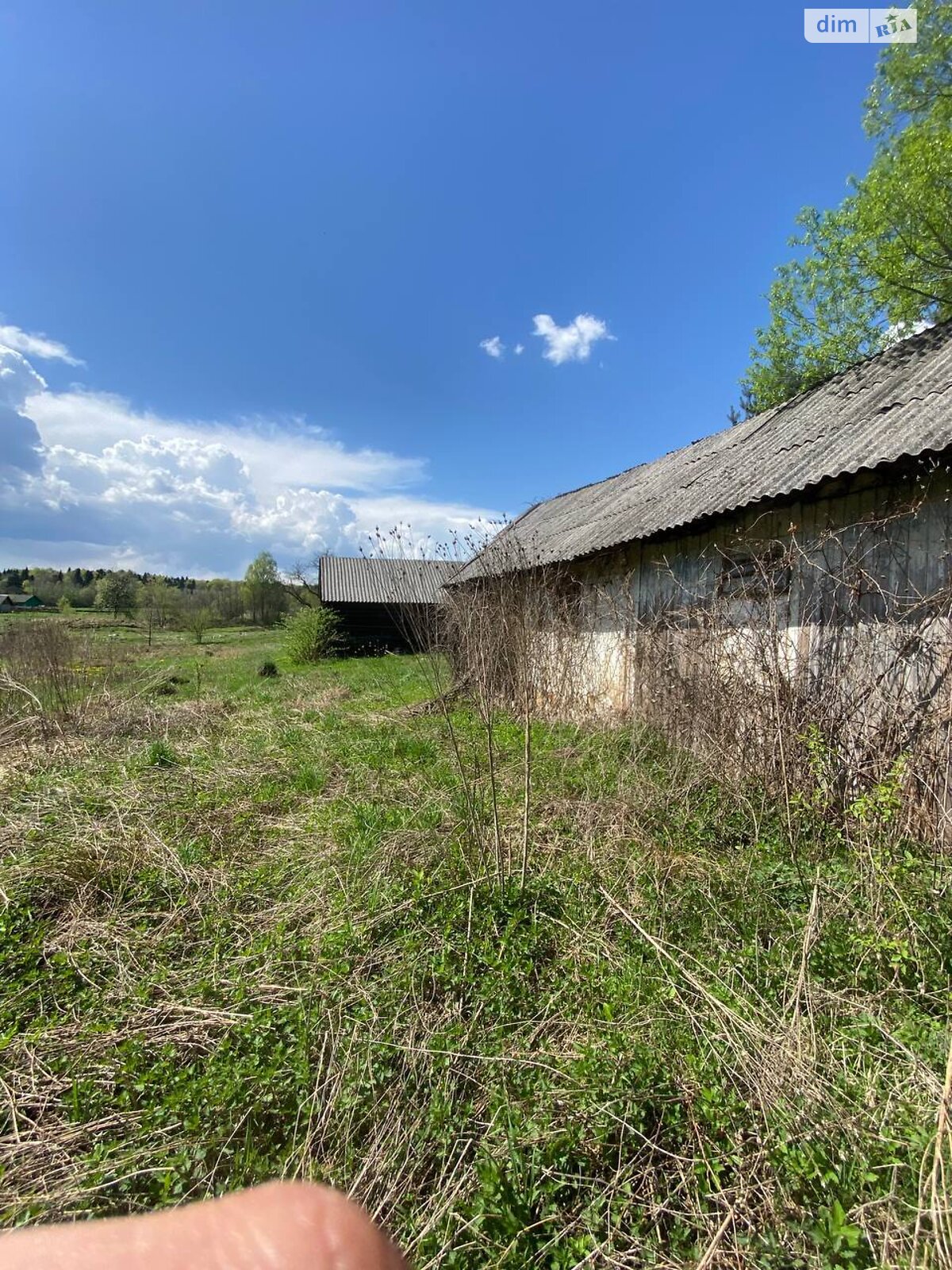Земельна ділянка сільськогосподарського призначення в Слободі-Долинській, площа 35 соток фото 1 Земельна ділянка сільськогосподарського призначення в Слободі-Долинській, площа 35 соток фото 1